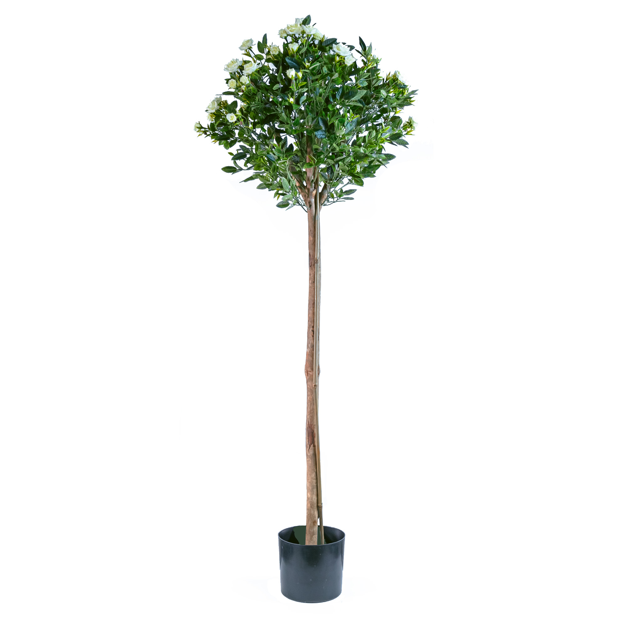 Artificial rose tree with real trunk 1809LVS, 162FLS