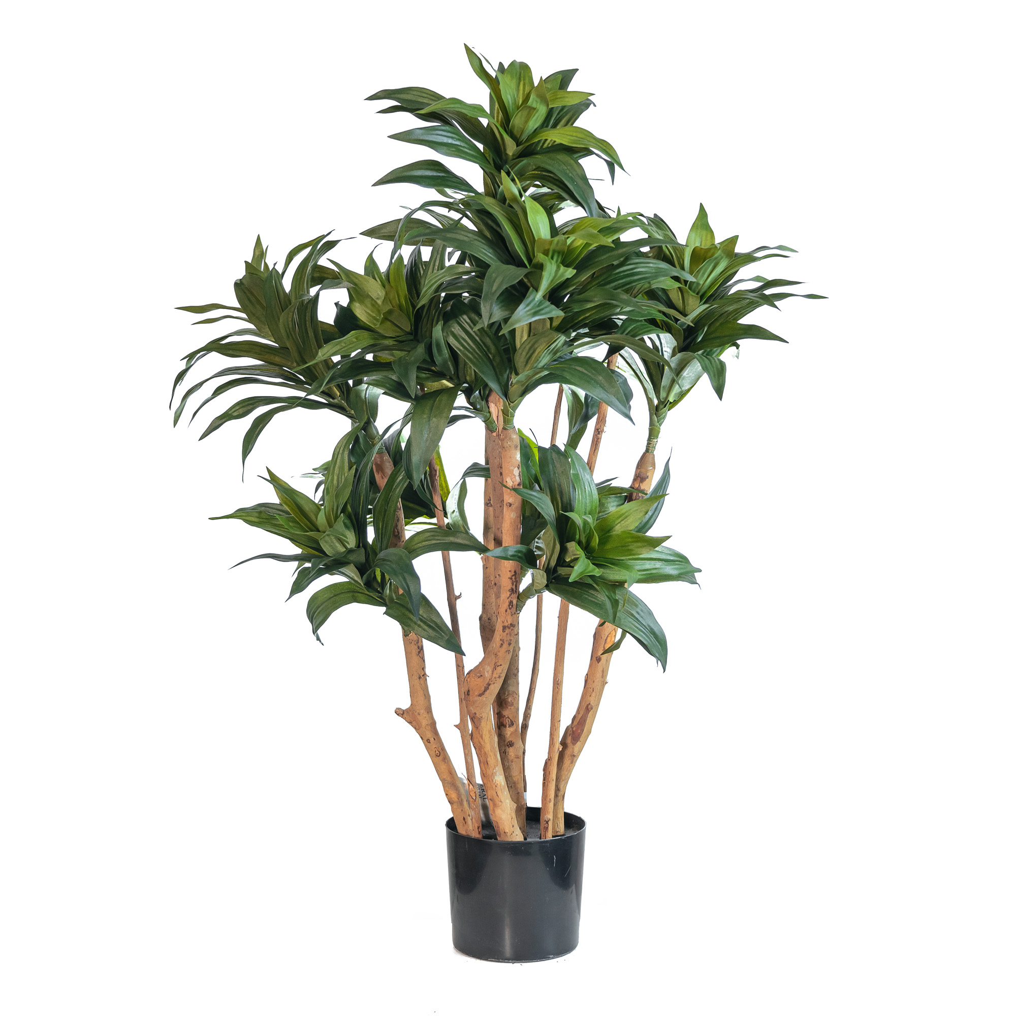 Artificial dracaena fragrans tree 251LVS