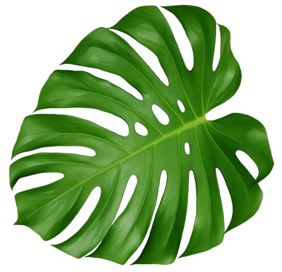 Blad Monstera small