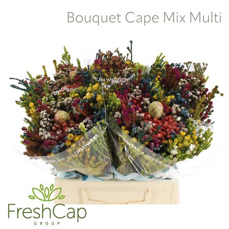 Bouquet Kaaps bouquet cape mix