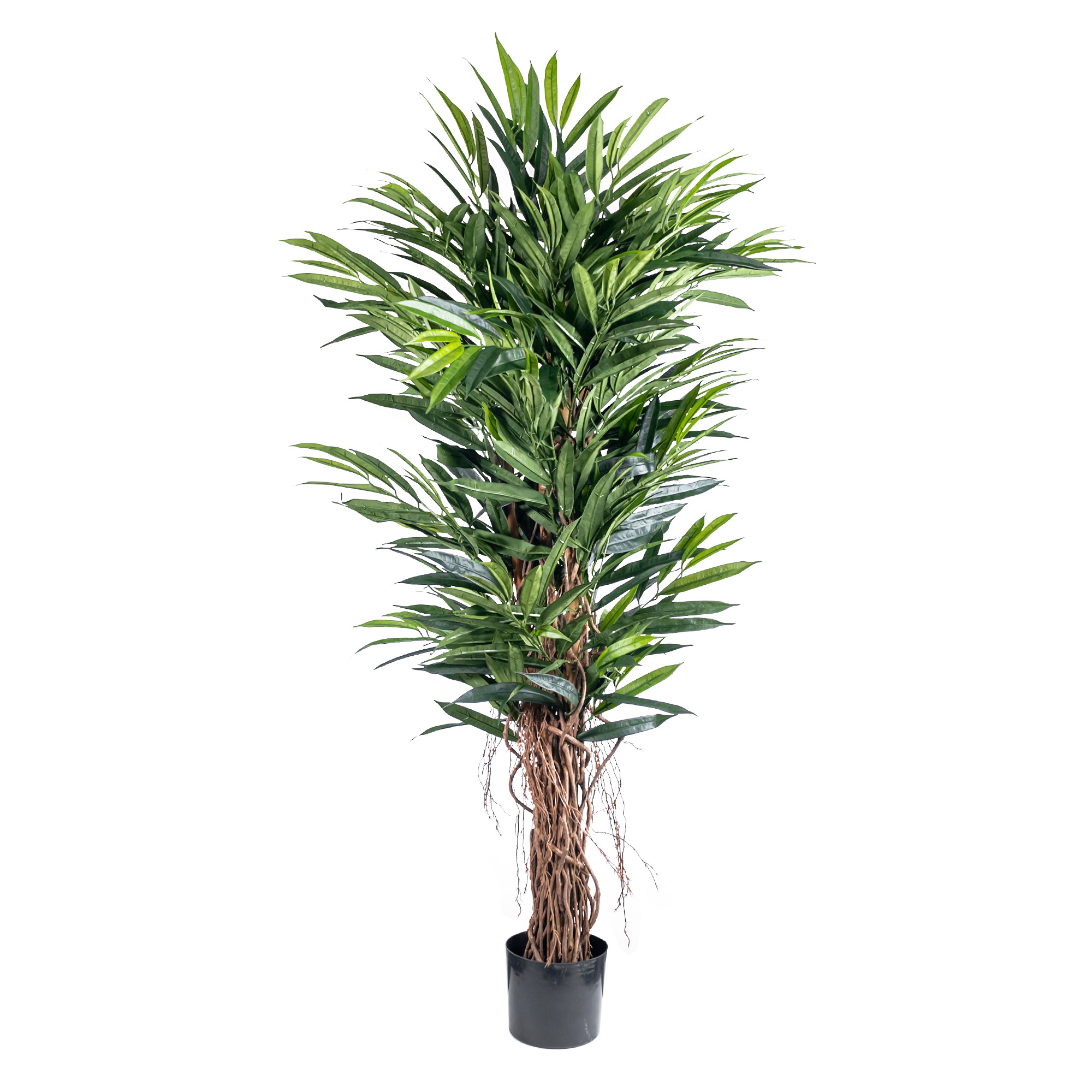 Artificial deluxe longifolia with real trunkv 693LVS