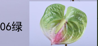 Artificial Anthurium