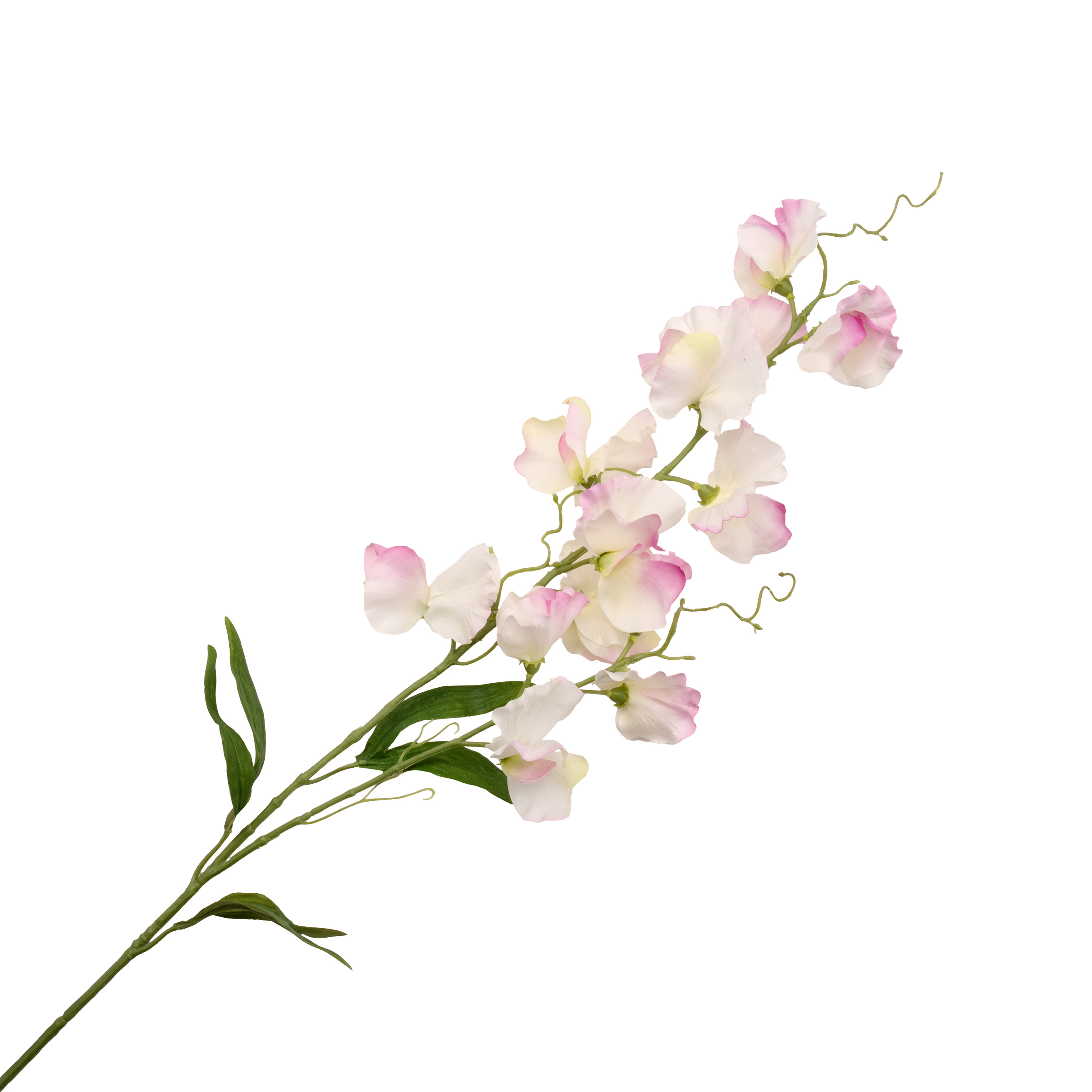 Artificial sweet pea