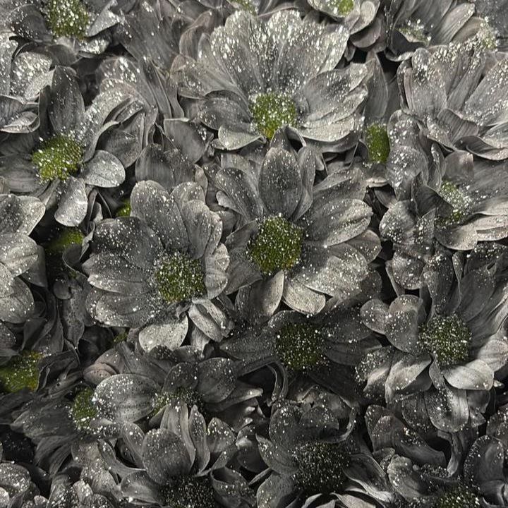 Chrysanthemum spray kennedy dyed grey