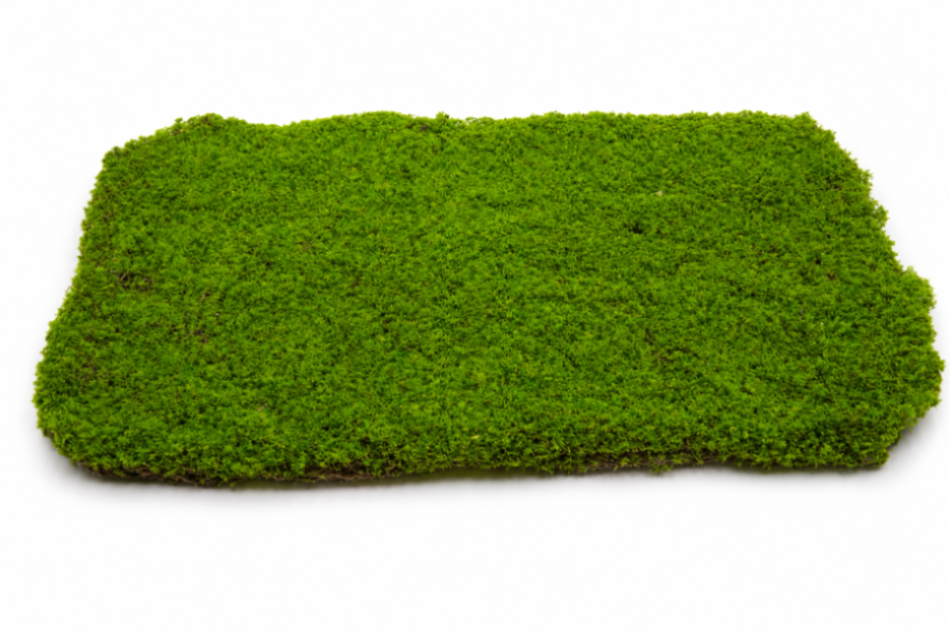 Artificial moss