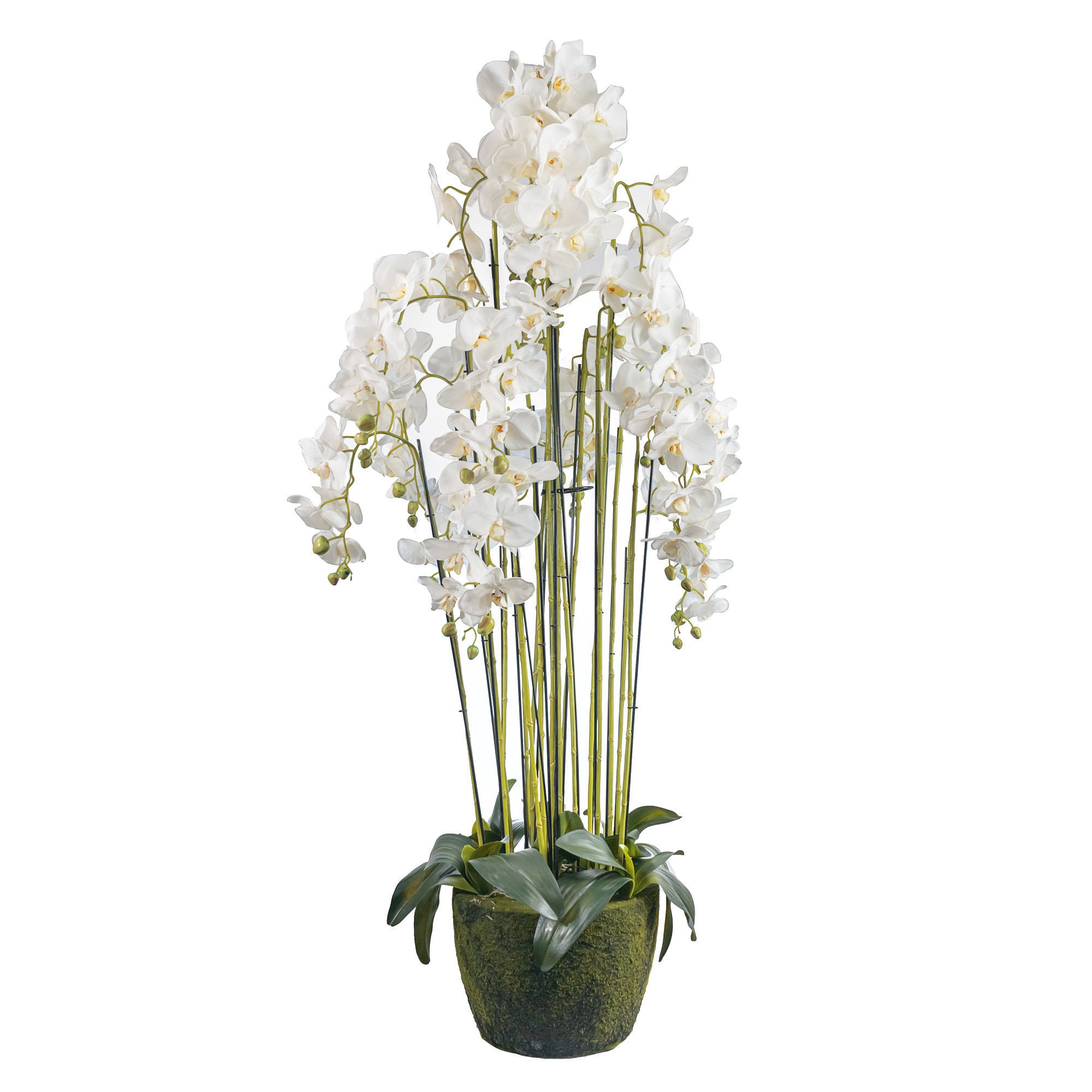 Artificial silicone orchid in pot, 18 stems