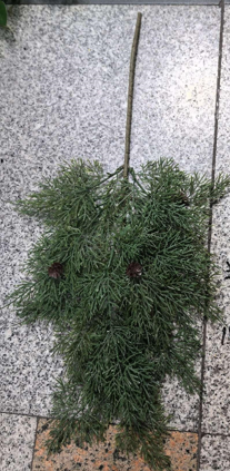 Christmas tree spray