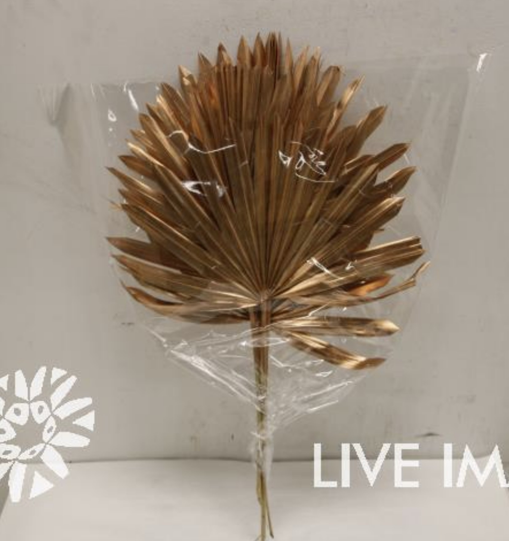 Dried palm sun (5/bunch) copper