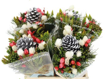 Bouquet Xmas Cone Sfb Silver