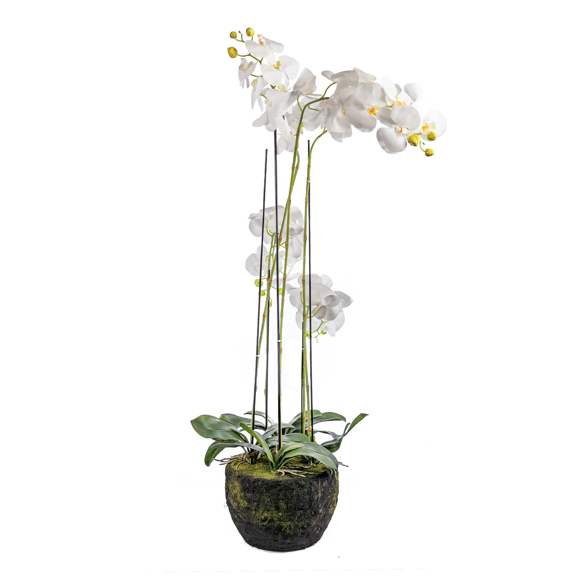 Artificial silicone orchid in pot, 5 stems