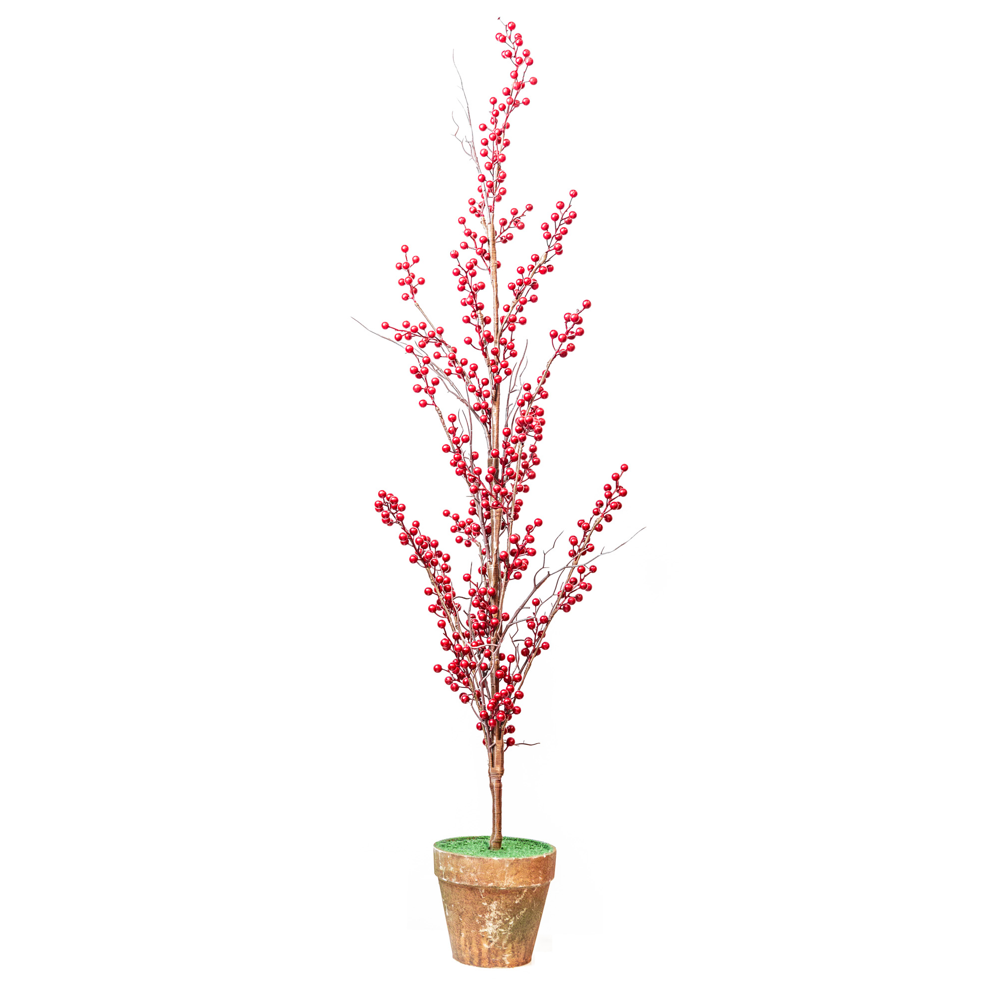 Christmas tree in pot, with red berry