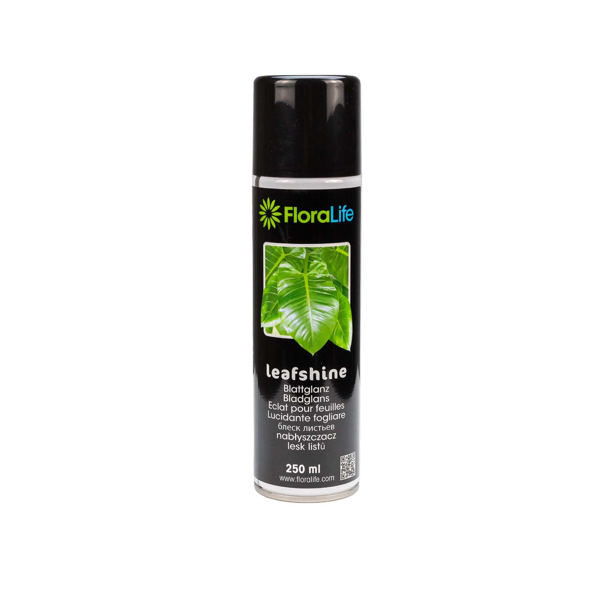 Oasis FloraLife Leafshine