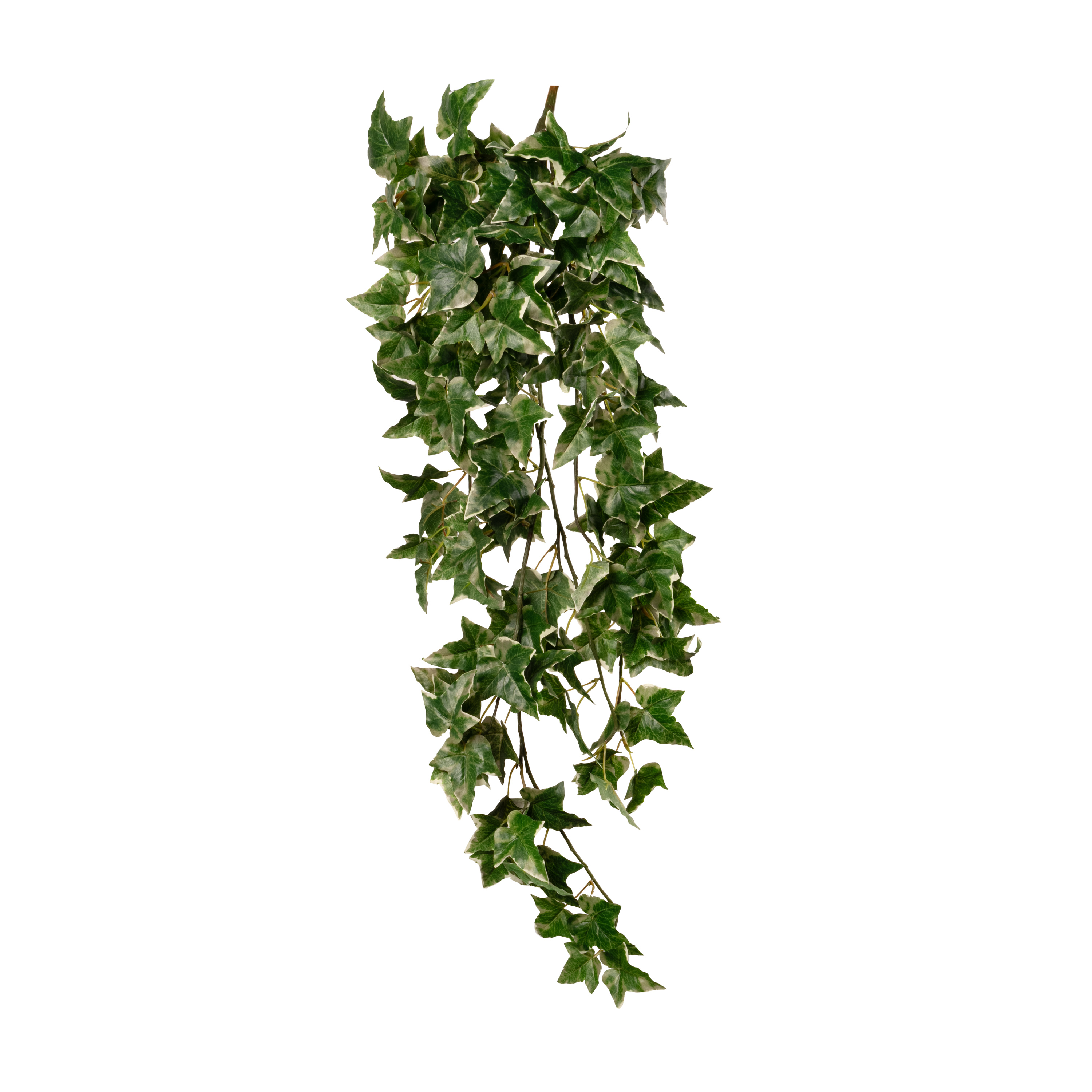 Artificial holland ivy hanging bush 166LVS