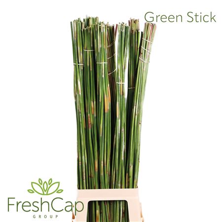 Green Sticks