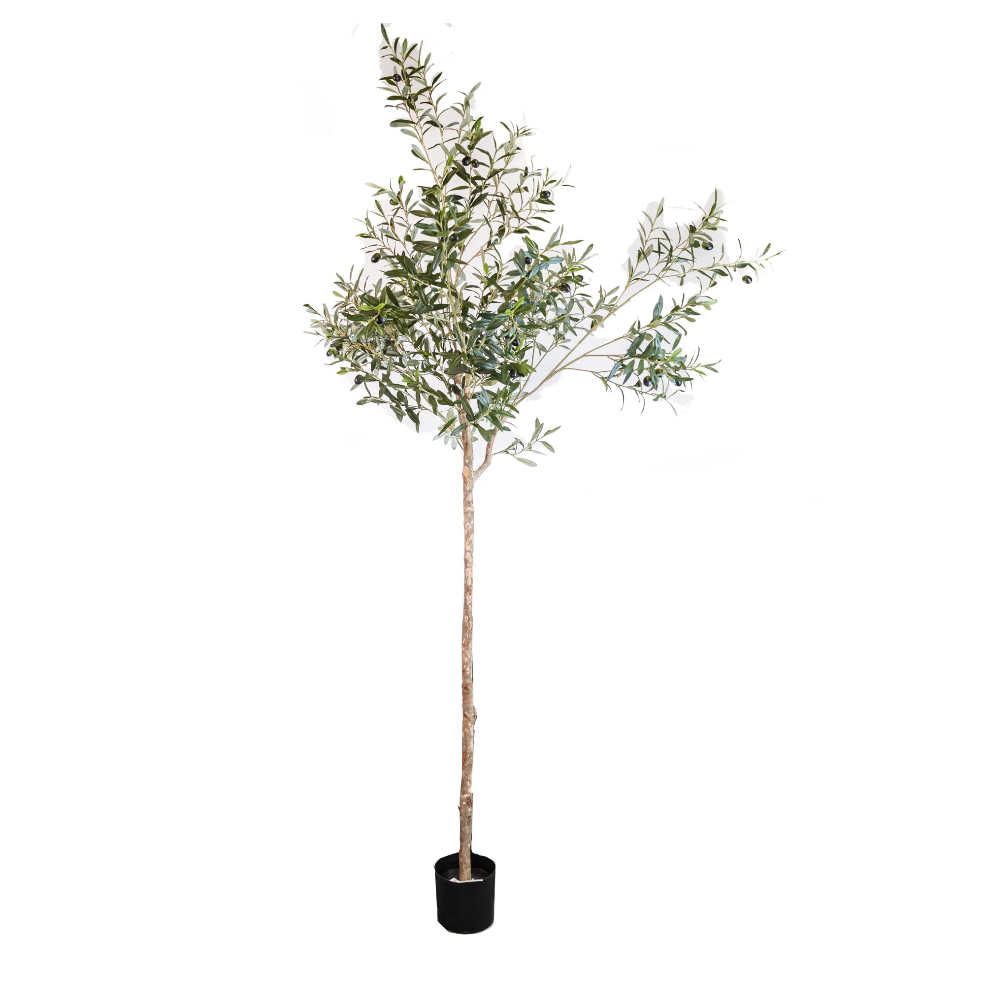 Artificial Olive tree with real trunk 1462LVS 48 FRUITS