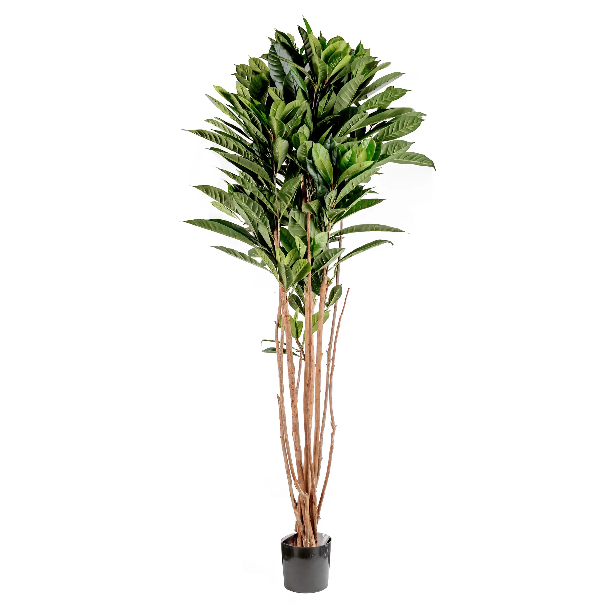 Artificial cyathistipula tree with real trunk 408LVS