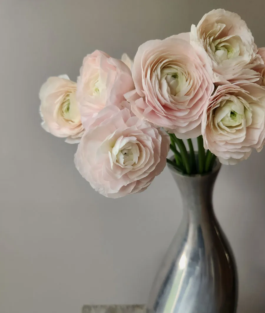 Ranunculus