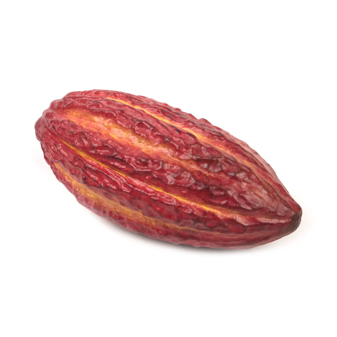 Cacao pods