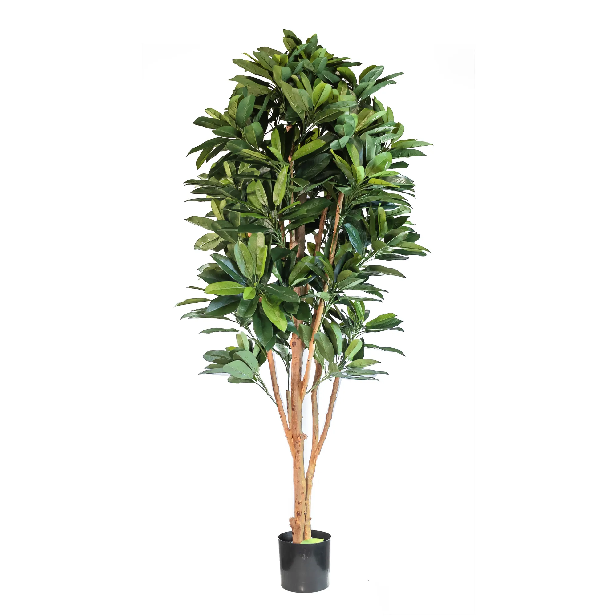 Artificial lady schefflera tree with real trunk 700LVS