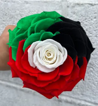 Rose preserved flag uae