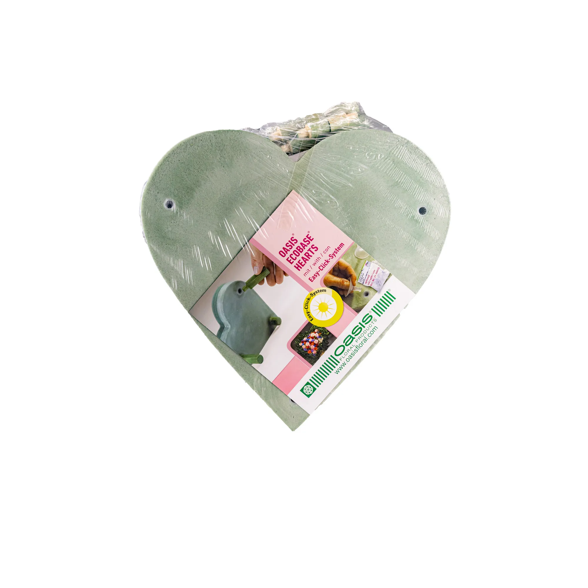 Oasis ECObase Heart