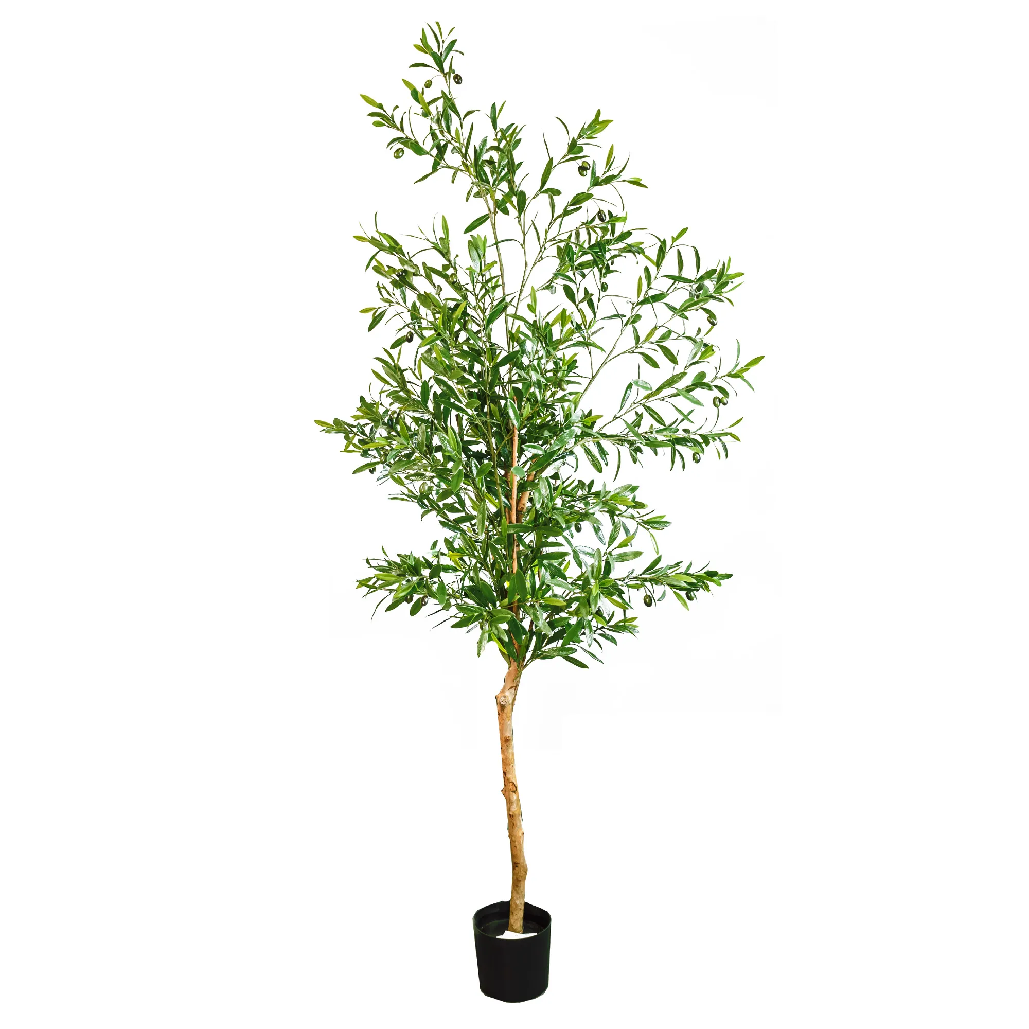 Artificial Olive tree with real trunk 1634LVS 48 FRUITS