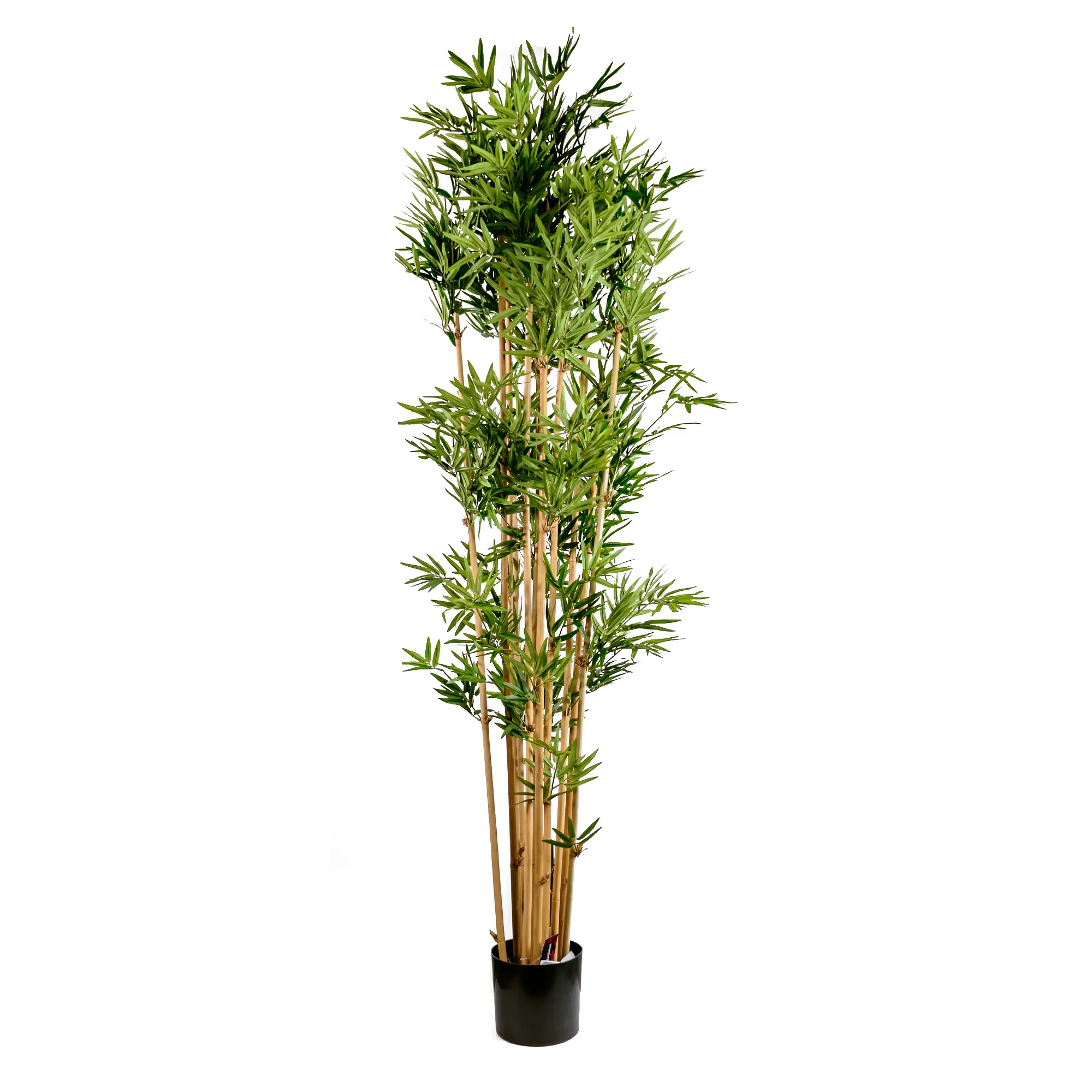 Artificial japanese bamboo tree with real trunk 12/2400LVS