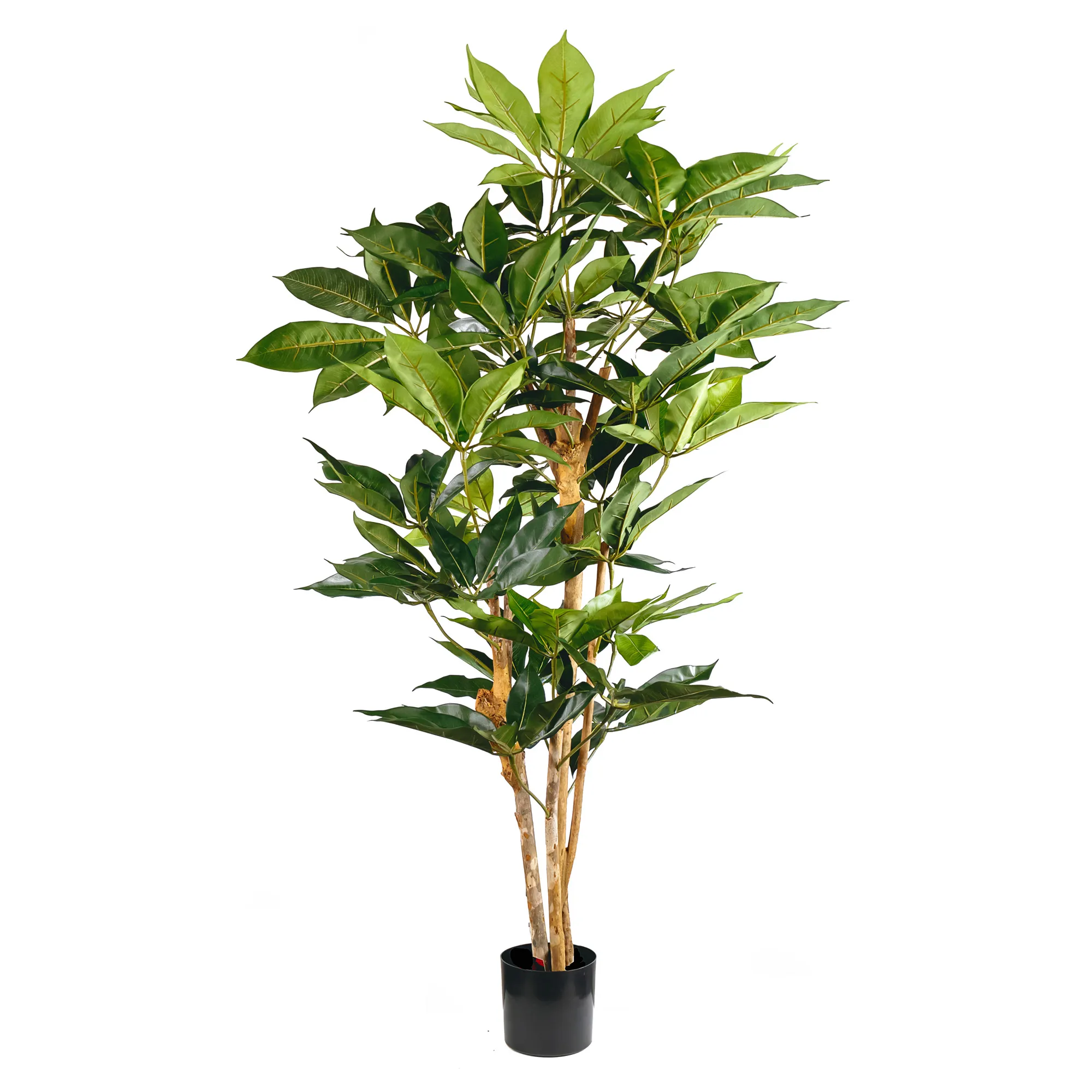 Artificial schefflera multi tree with real trunk 227LVS