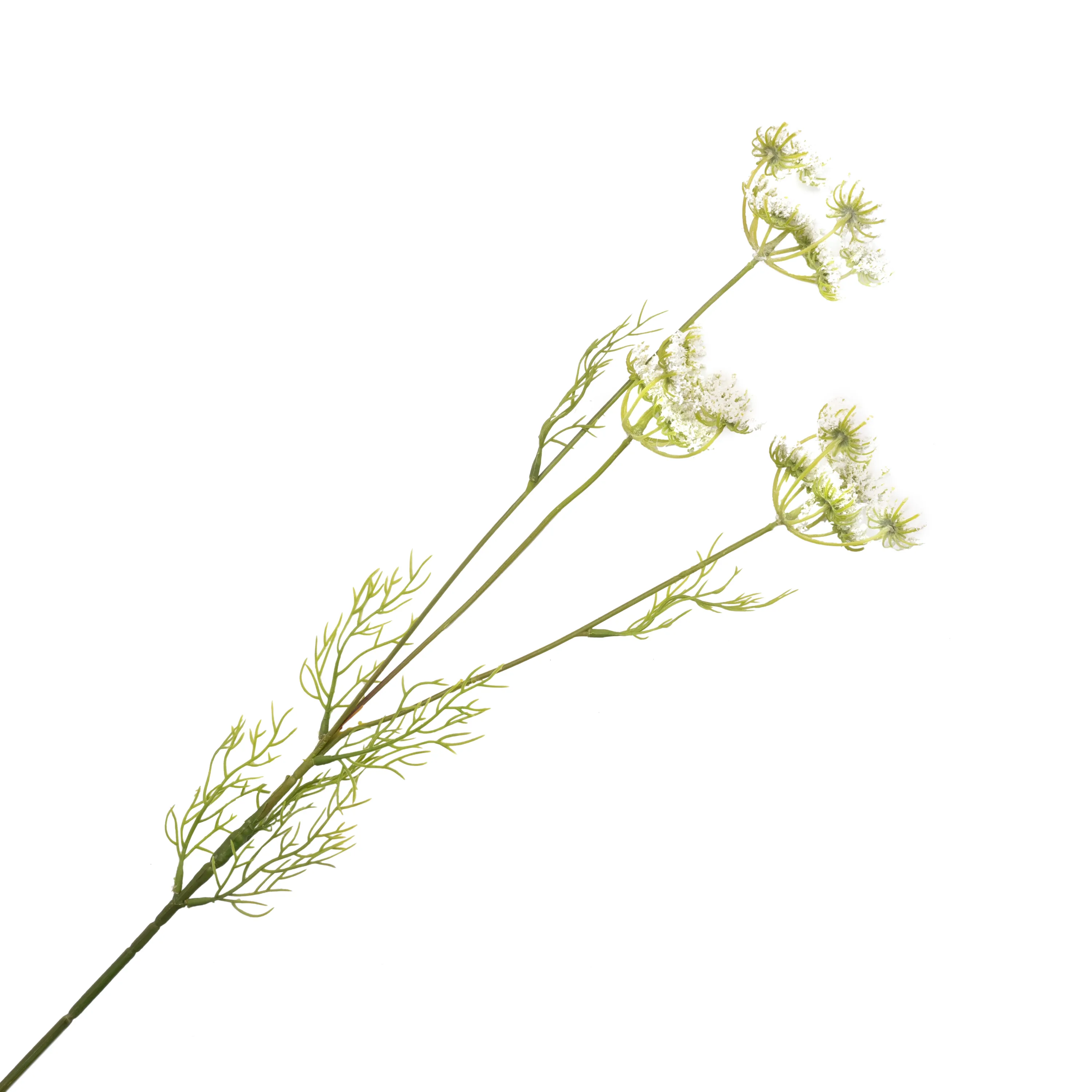 Artificial fennel