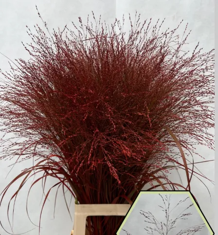 Ornamental grass paint