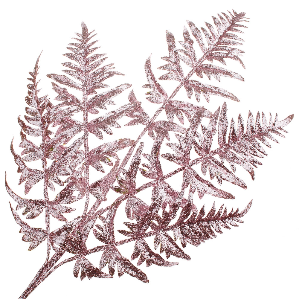 Christmas spray fern , Pink | Wholesale flowers, plants and supplies Christmas spray fern , Pink