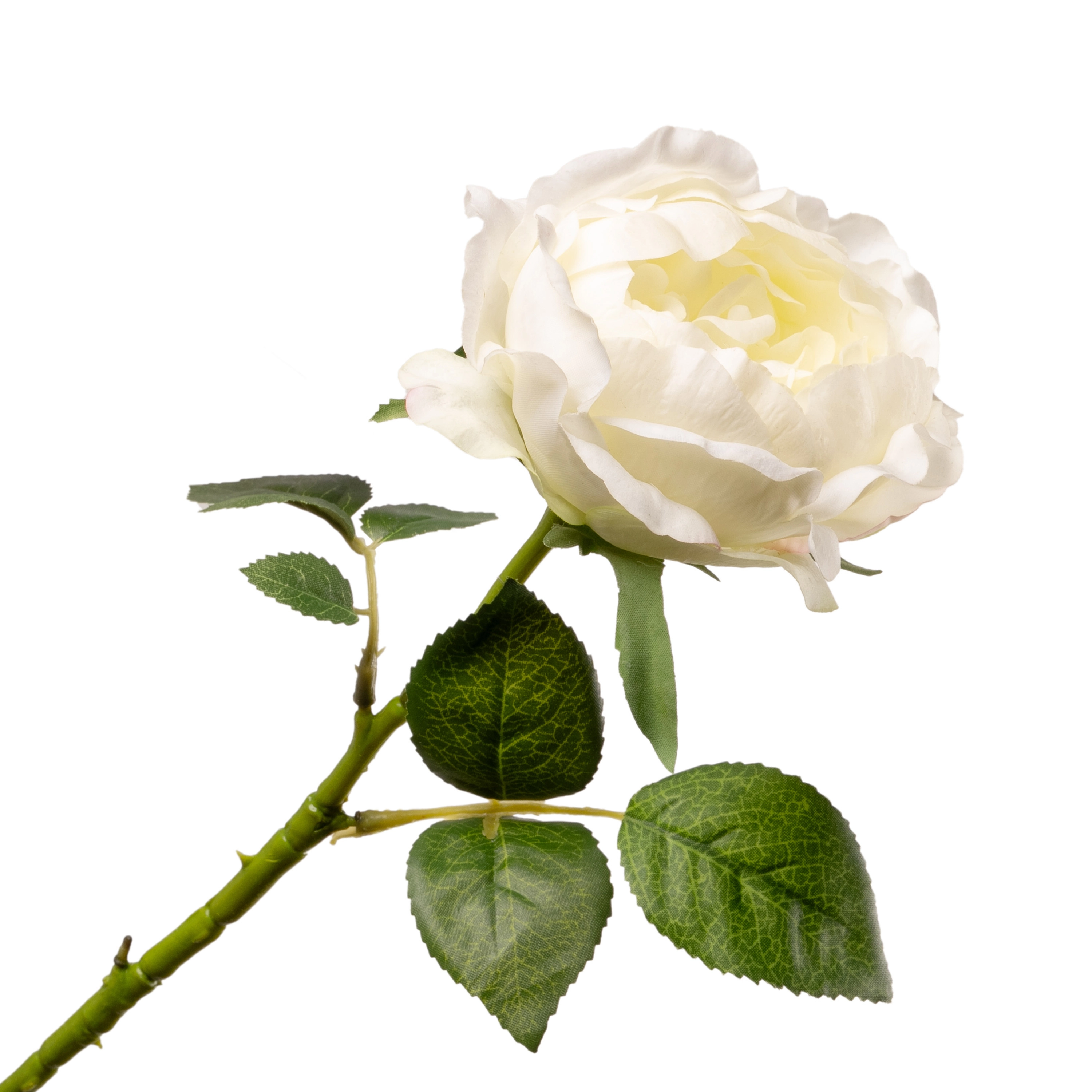 Artificial garden rose silicone