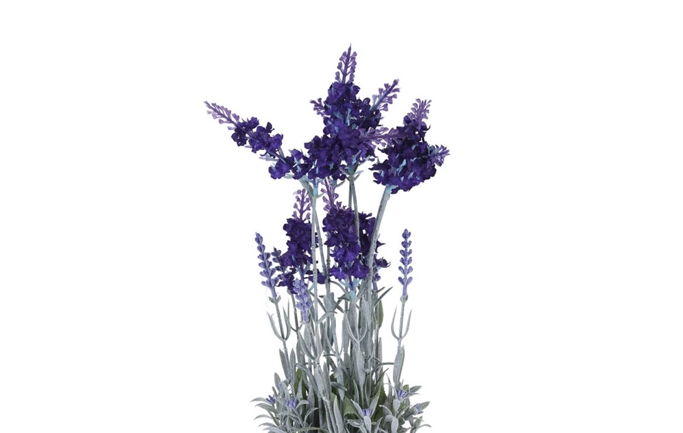 Lavanda tinted dark blue