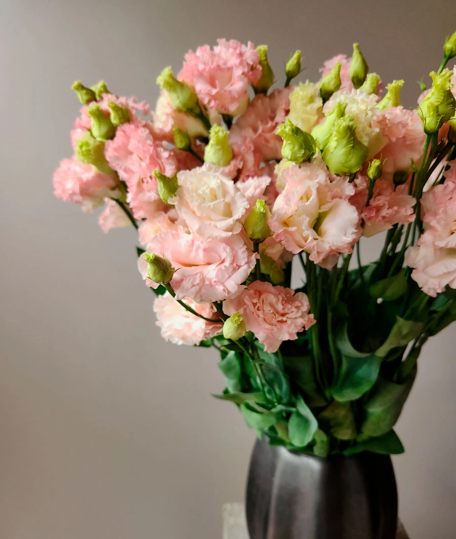 Lisianthus | Wholesale flowers, plants and supplies Lisianthus
