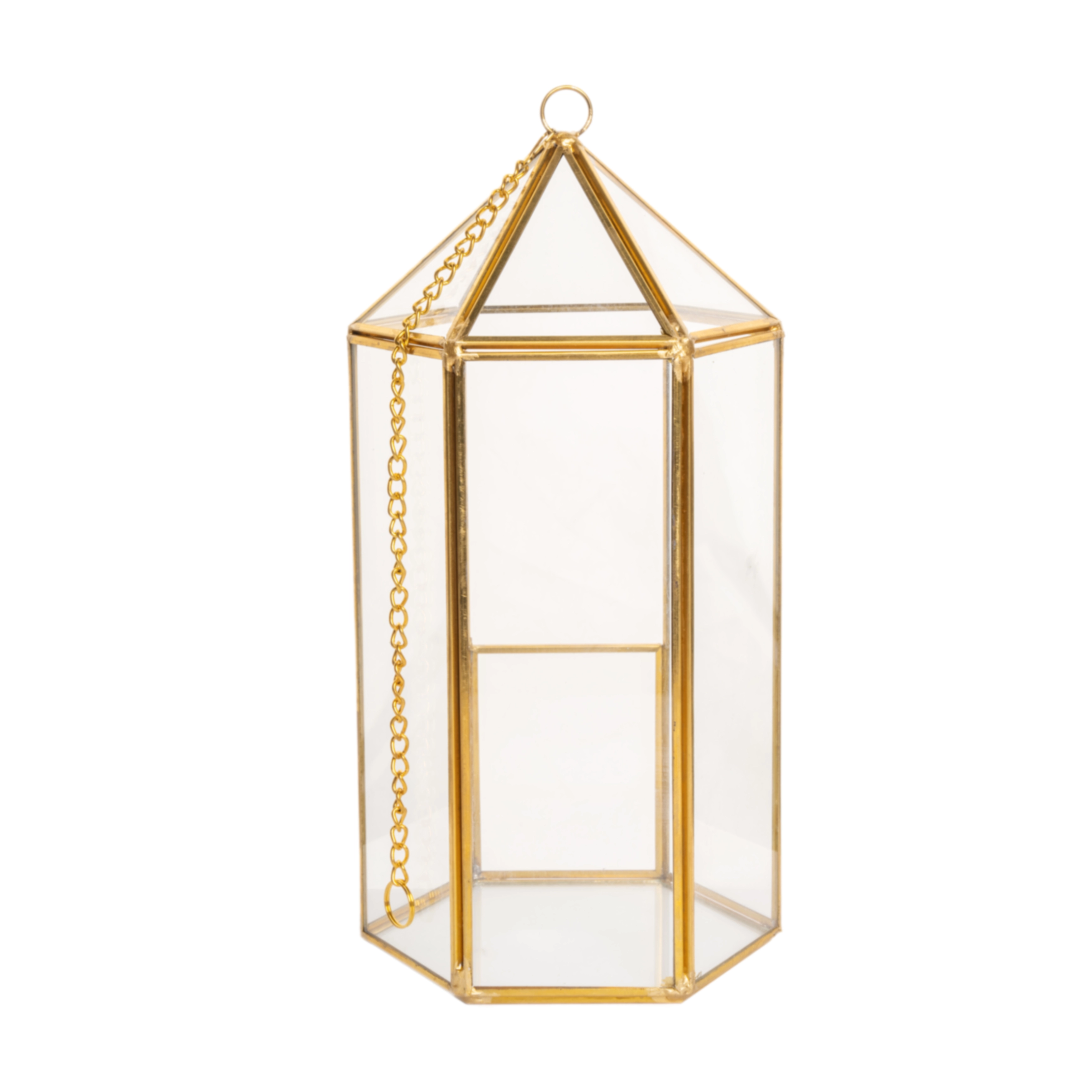 Glass florarium