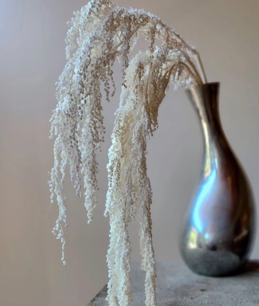 Dried flowers | Wholesale flowers, plants and supplies Dried flowers