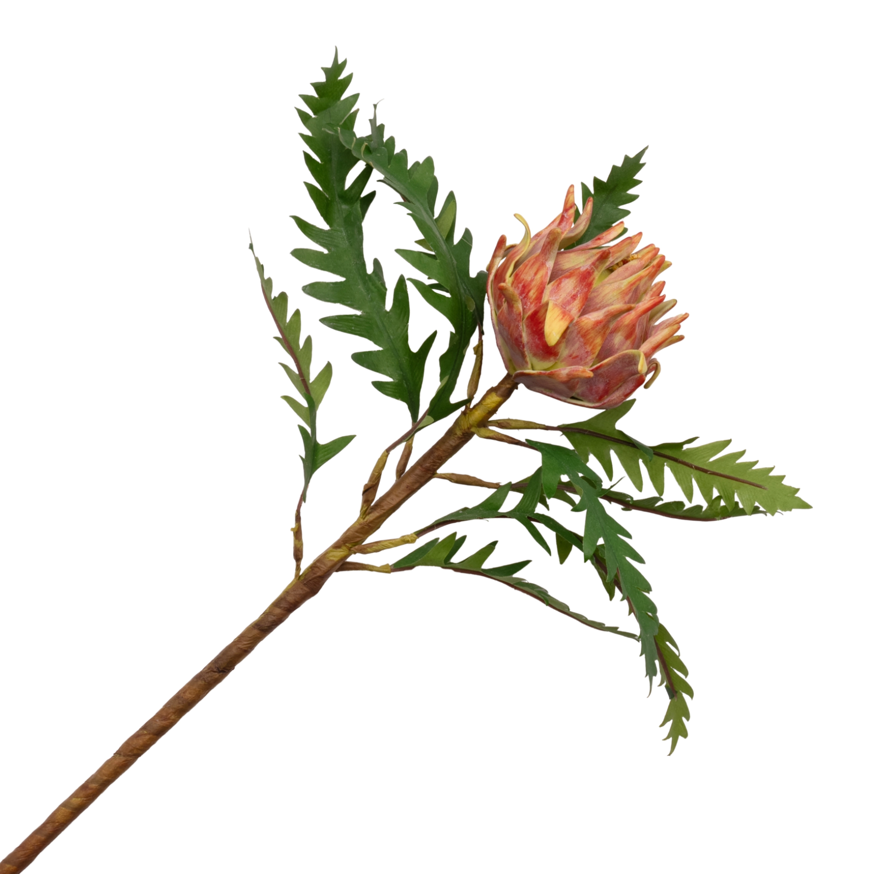 Artificial protea | Wholesale flowers, plants and supplies Artificial protea