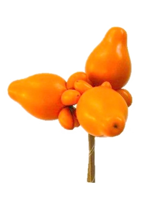 Solanum pig face with pick