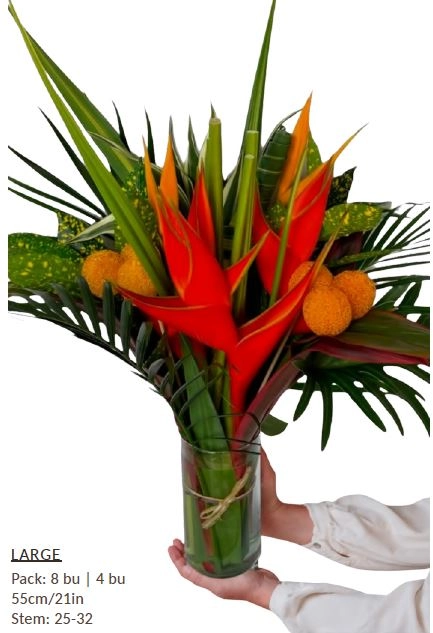 Bouquet parrot large
