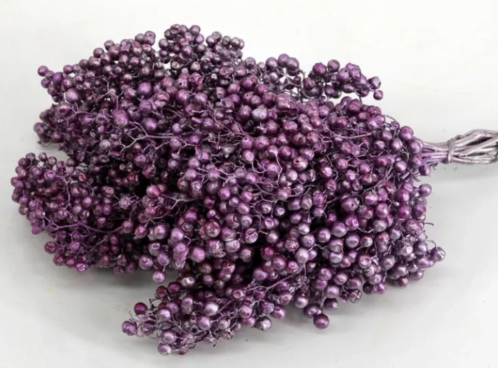 Capsicum schinus mollis metalic pink