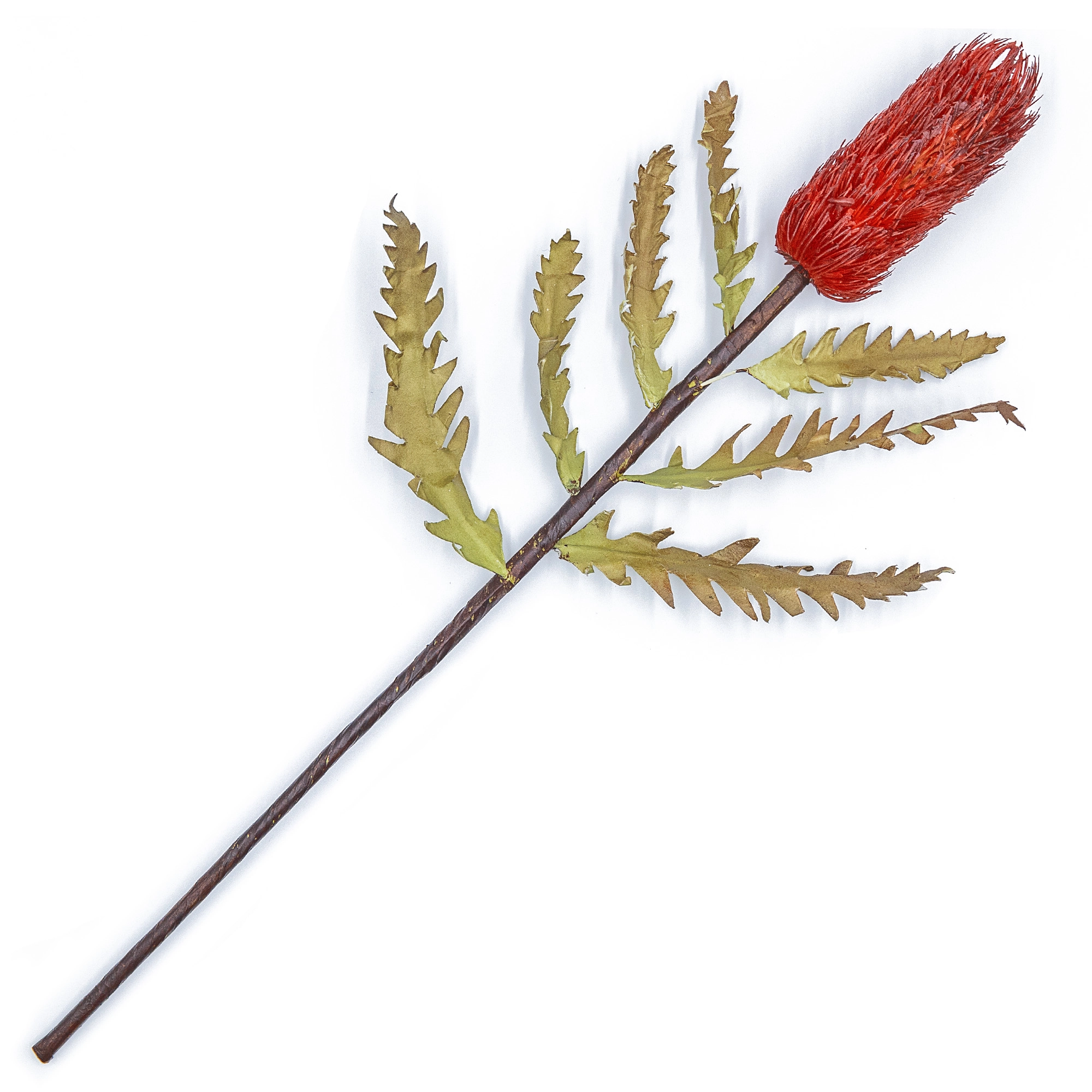 Artificial dry flower | Wholesale flowers, plants and supplies Artificial dry flower