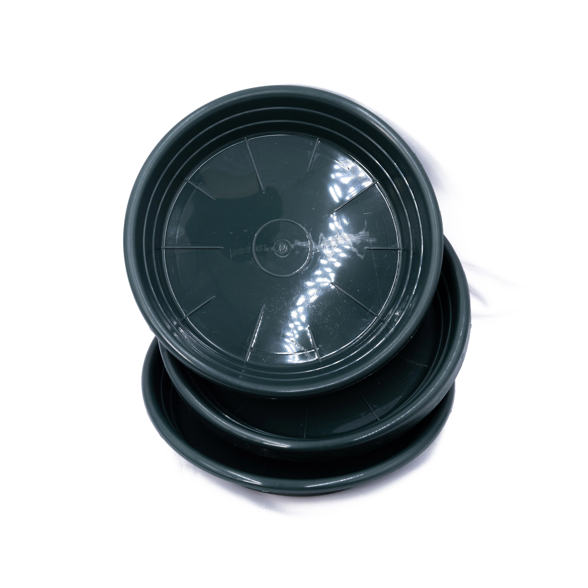 Oasis Plastic Tray Round Tray,10pcs | Wholesale flowers, plants and supplies Oasis Plastic Tray Round Tray,10pcs