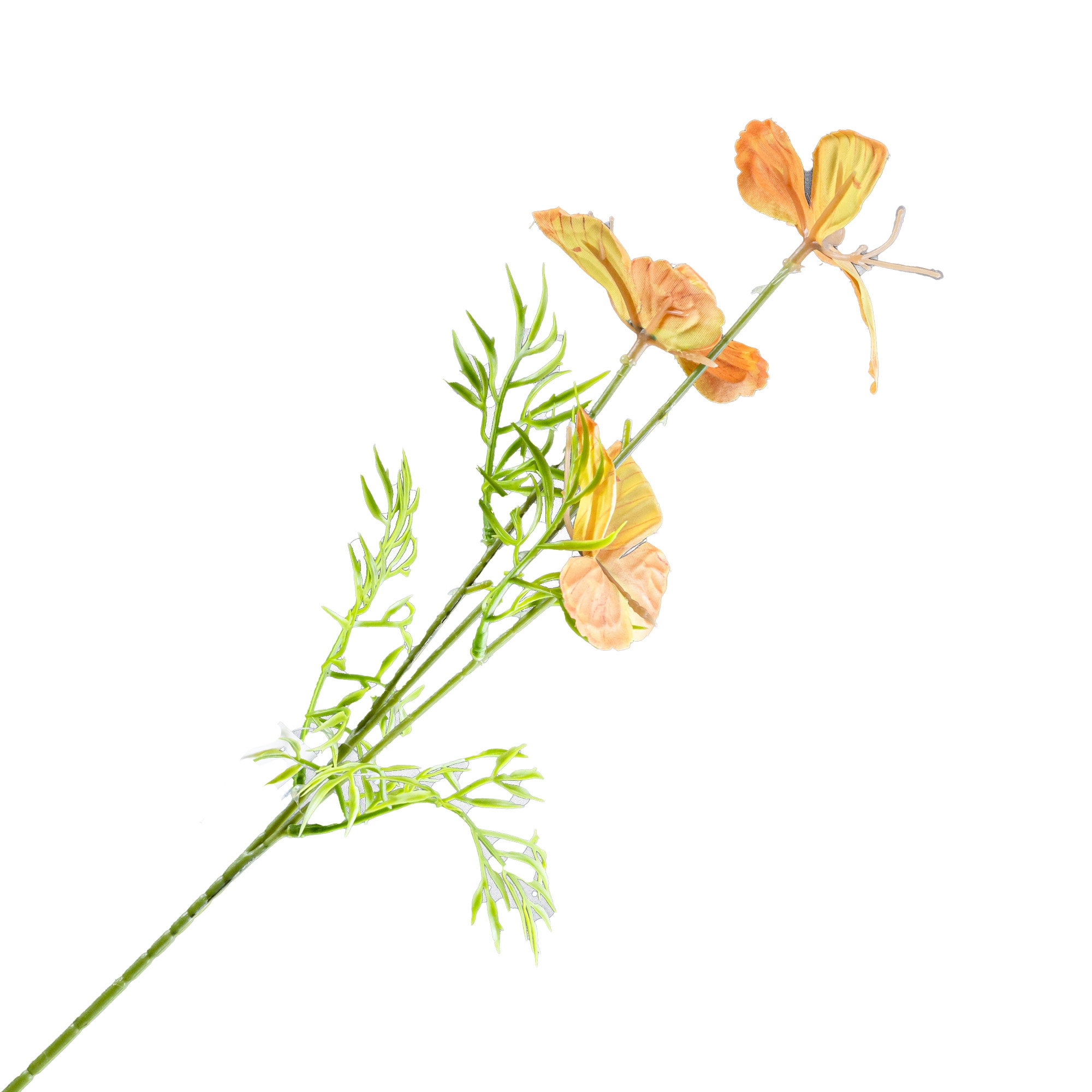 Butterfly flower