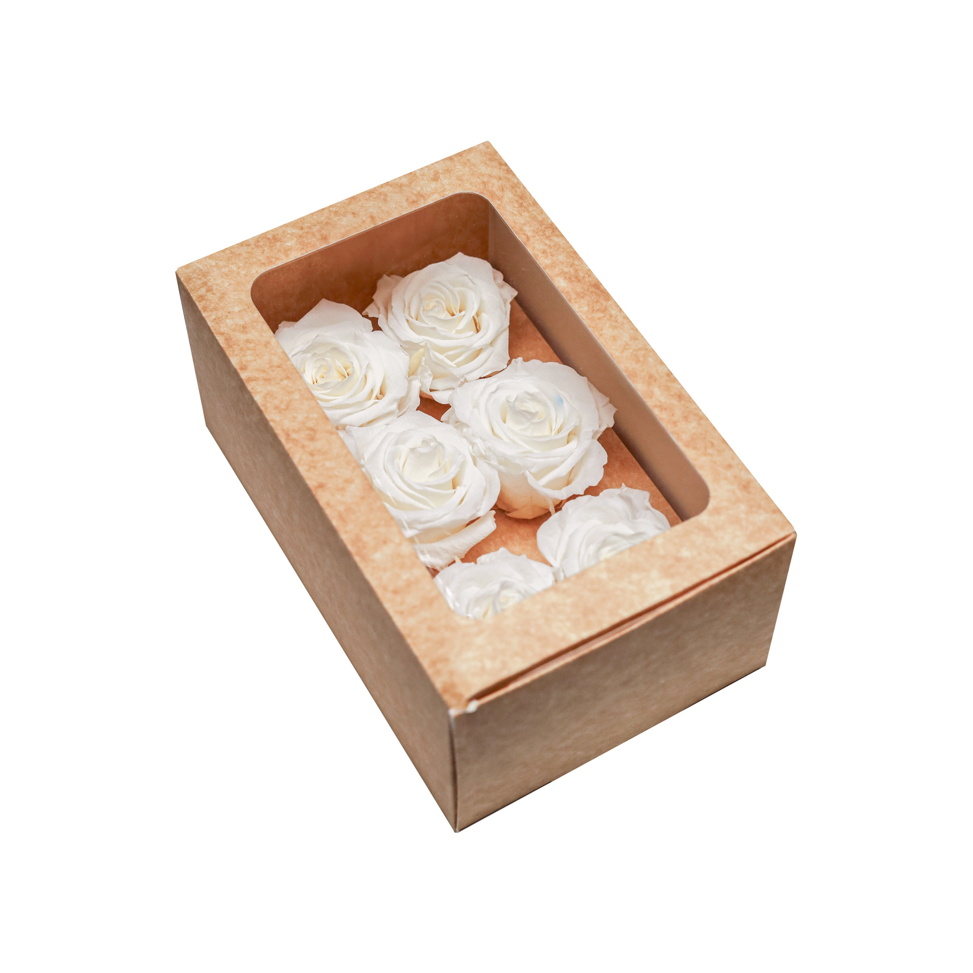 Rose preserved white | Wholesale flowers, plants and supplies Rose preserved white