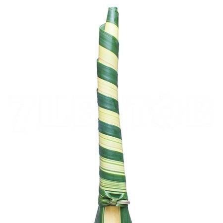 Blad Pandanus