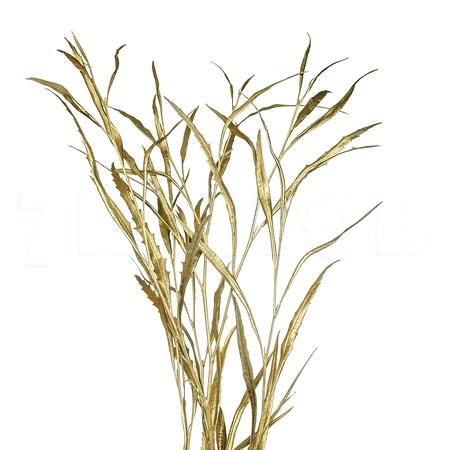 Blad Grevillea tinted gold