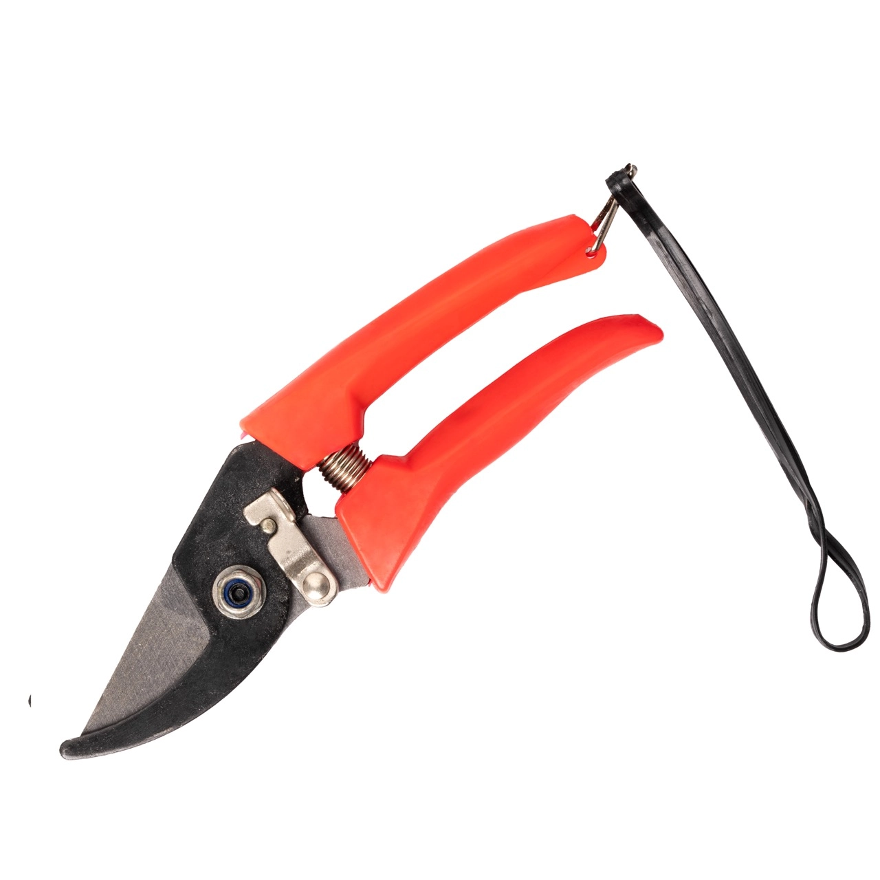 Flower Scissors | Wholesale flowers, plants and supplies Flower Scissors