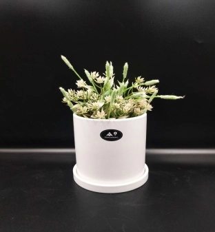 Ceramic pot with plate