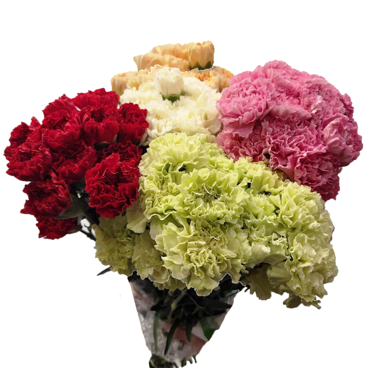 Carnation mix | Wholesale flowers, plants and supplies Carnation mix