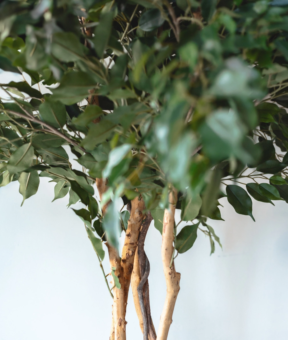 Artificial Trees | Wholesale flowers, plants and supplies Artificial Trees